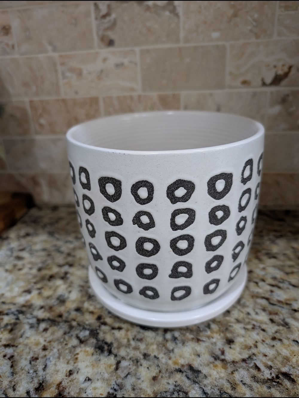 Modern 6" Stoneware saucer Ceramic Planter pot